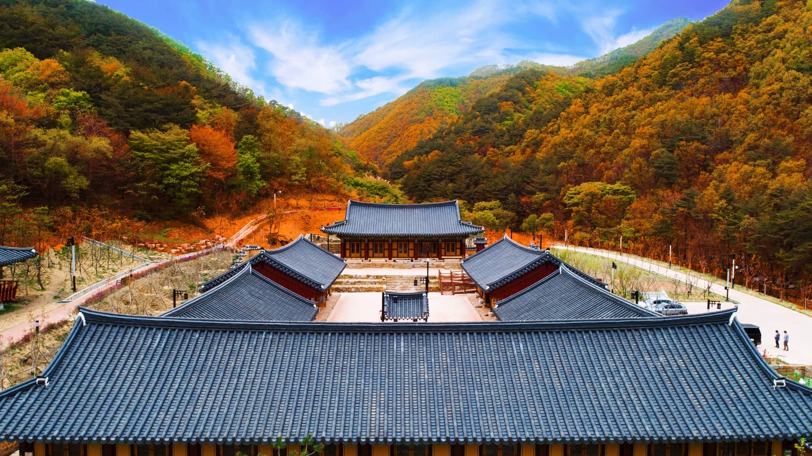 센터 본관