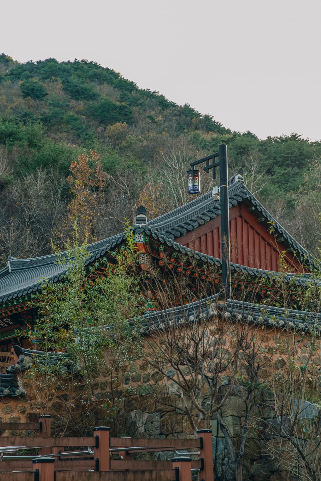 센터 정원